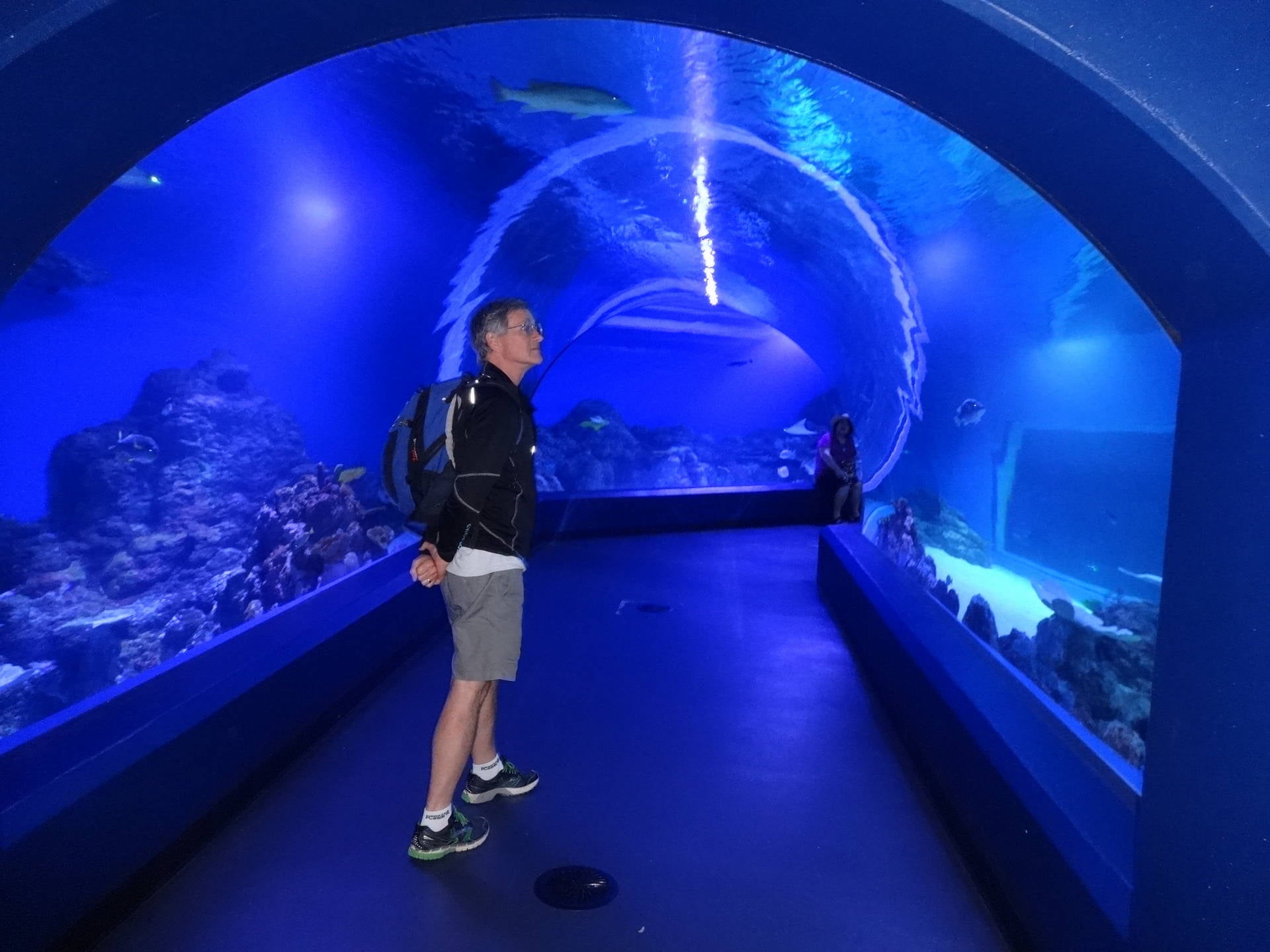 April 6 2018 at the excellent new aquarium in Cairns QLD
