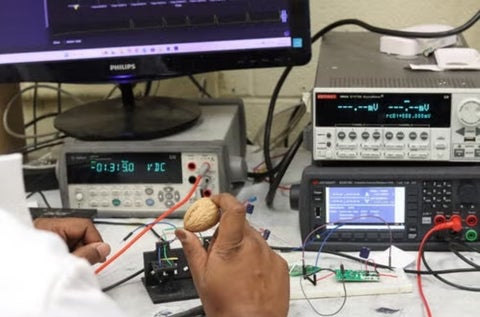 A walnut being held over scientific equipment
