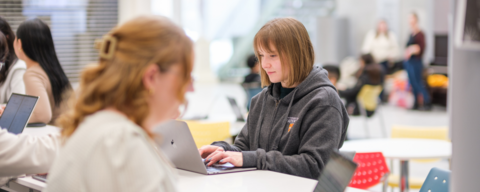 Student working on a laptop