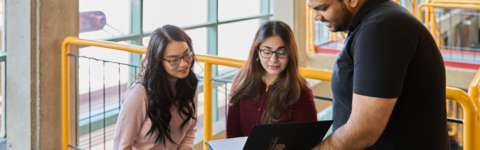Students looking at notes