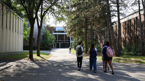 Four students walking in the Arts Quad