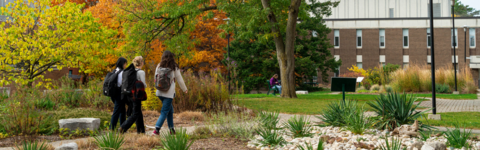 Students walking on campus