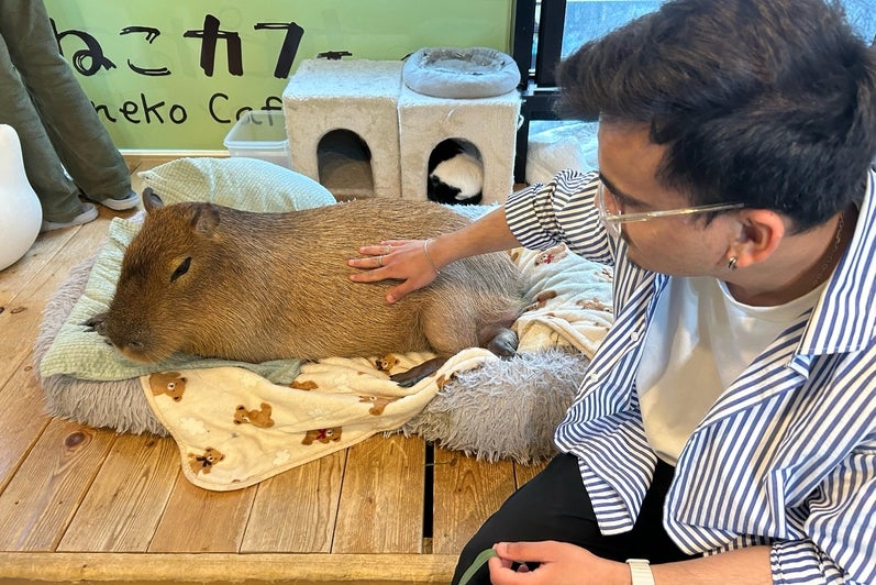 Rishabh Bajaj petting a capybara