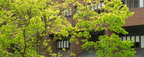 Needles Hall outdoors
