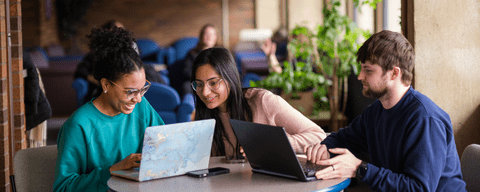 Students working in lounge