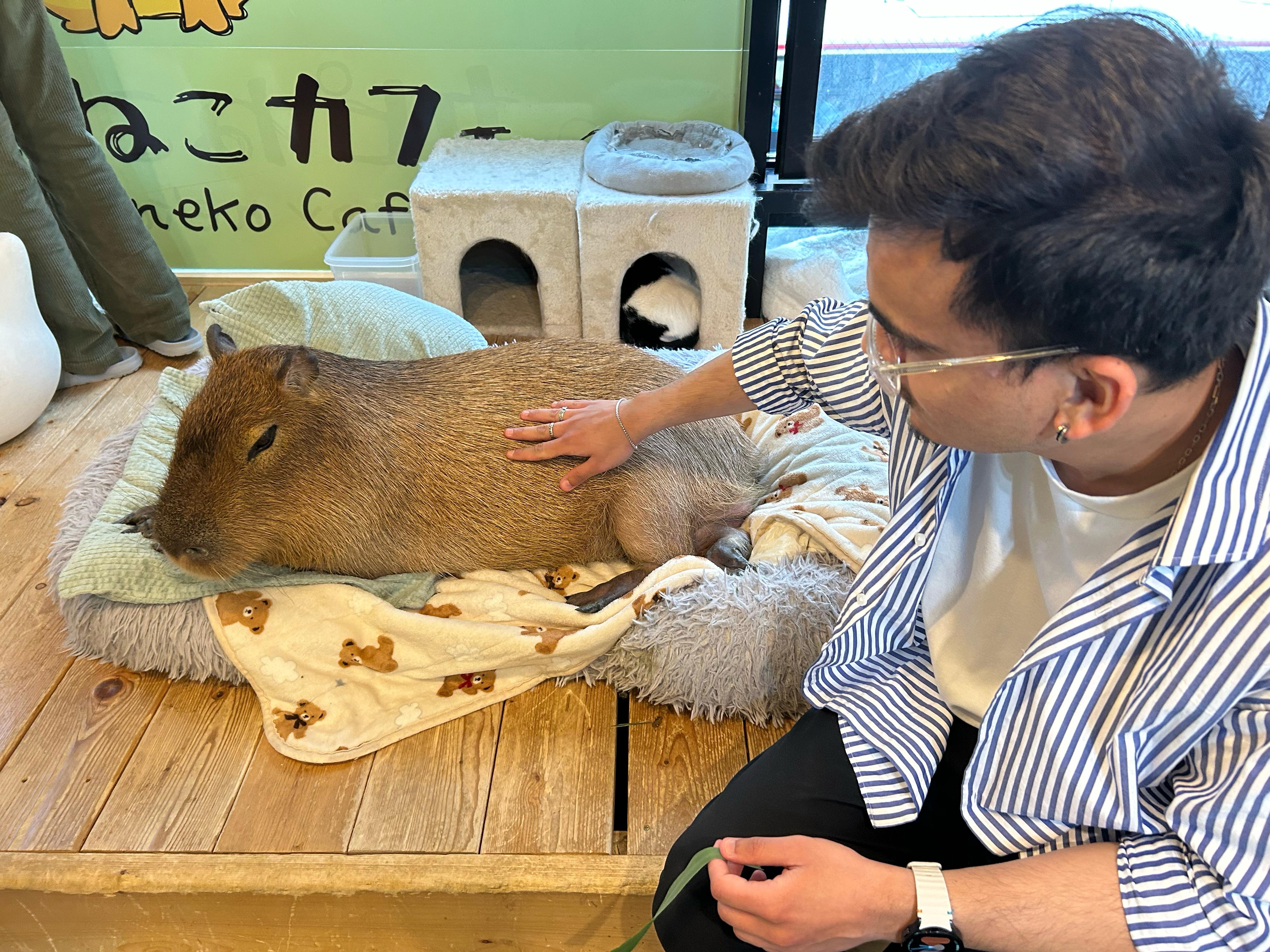 Rishabh Bajaj petting a capybara