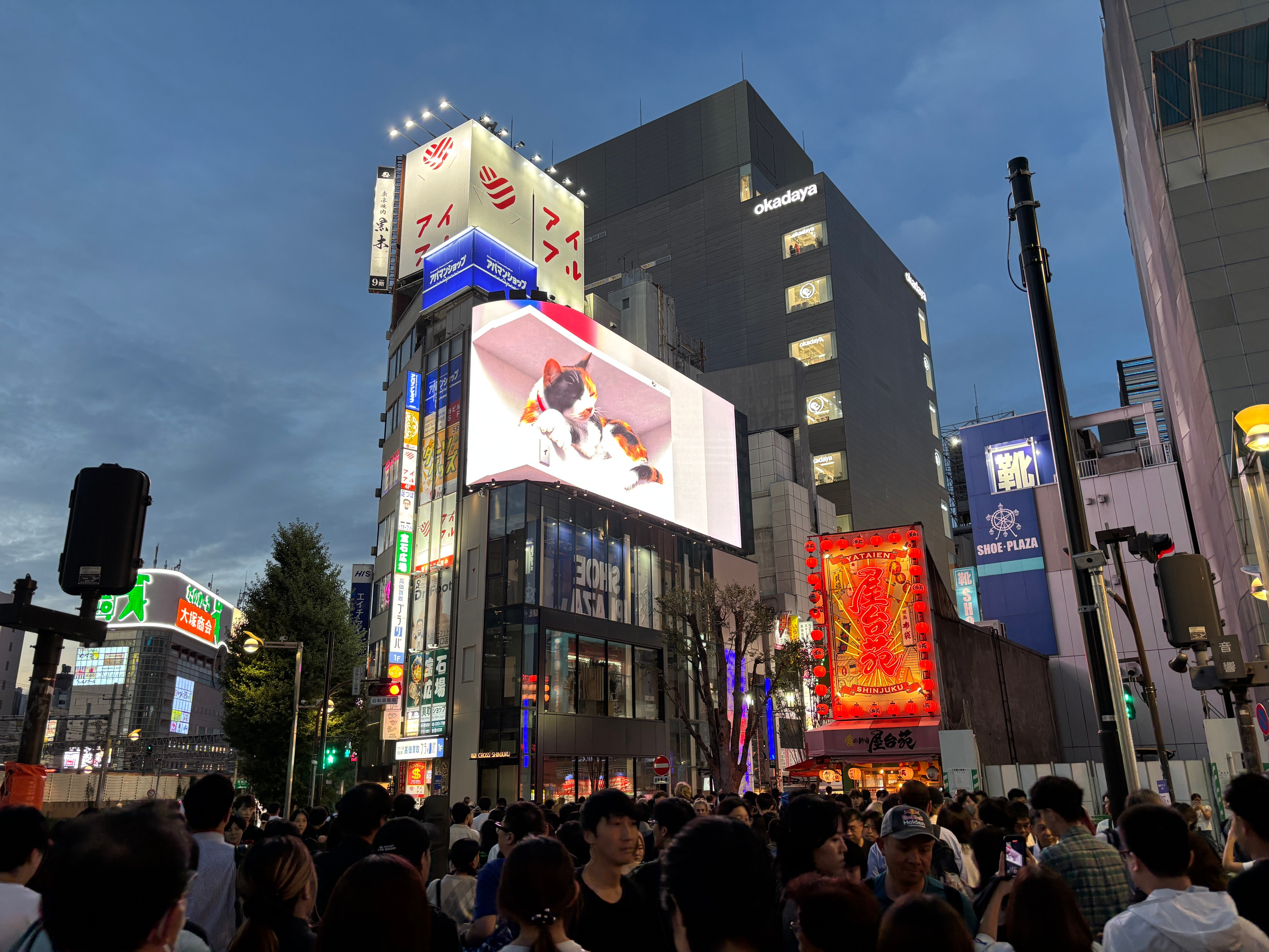 A cityscape in Japan with advertisements on the buildings.