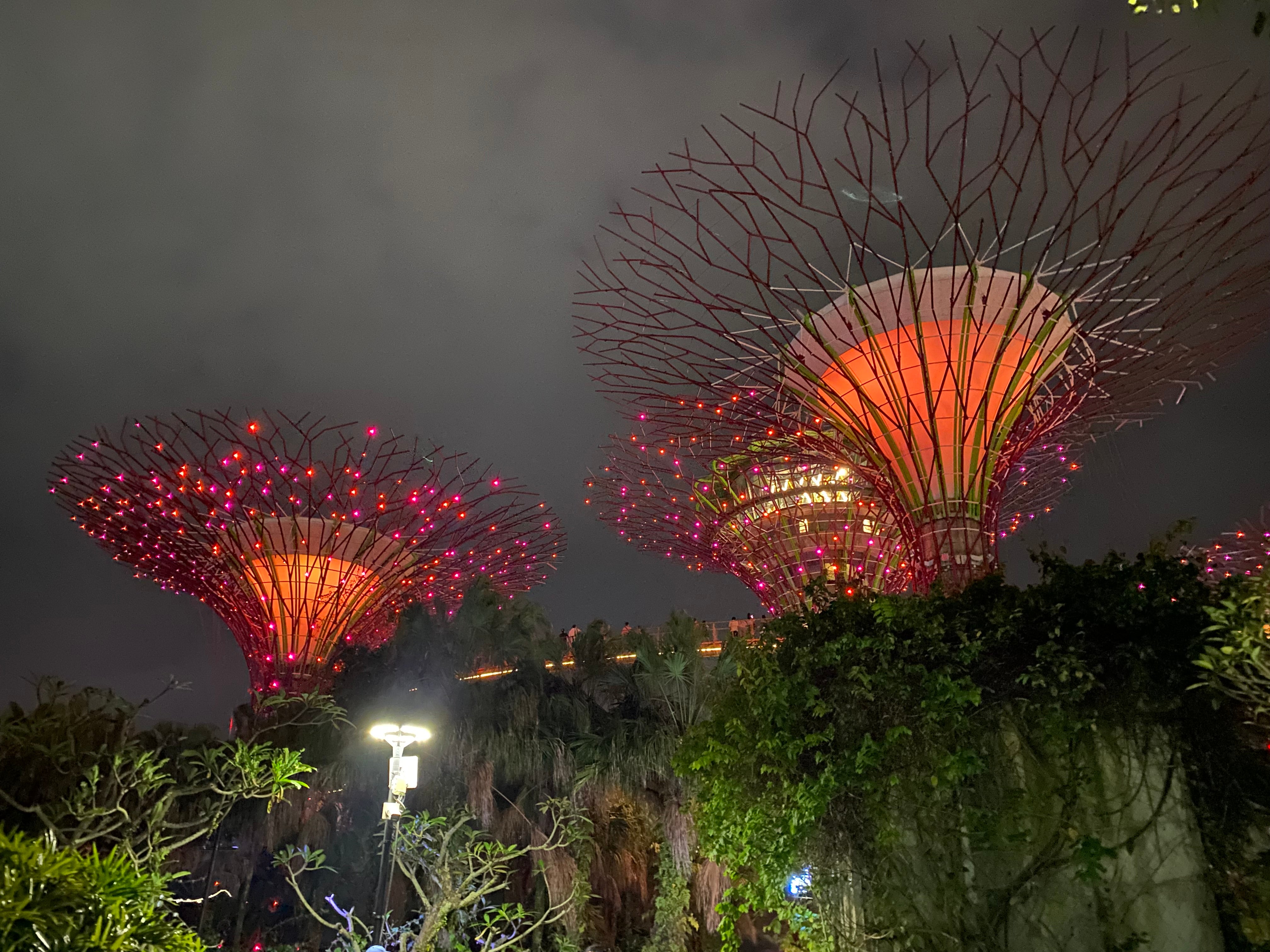 Supertree Grove in Singapore lit up with red/orange lights at night.