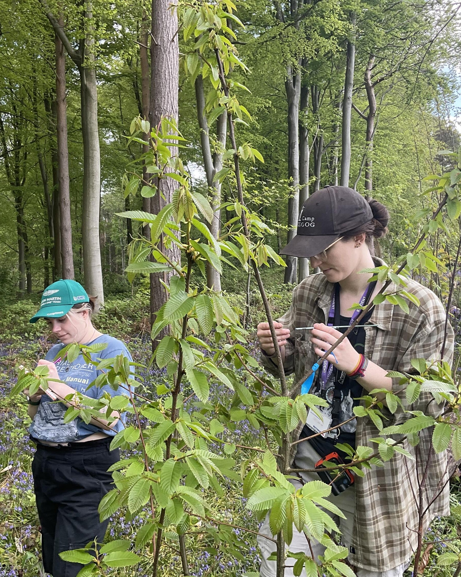 Katie Pita collecting data in the field