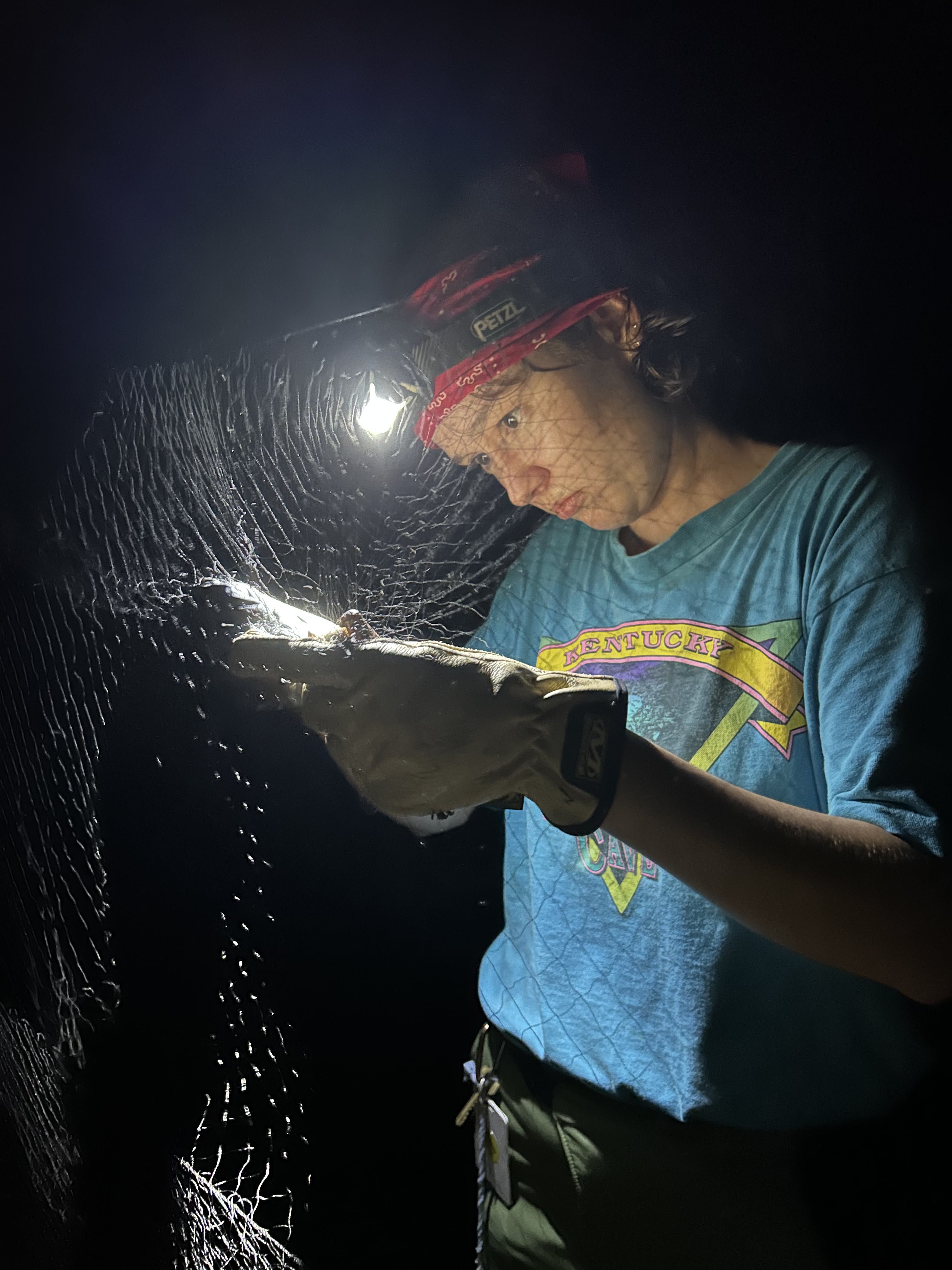 Someone inspecting a net in the dark with a headlamp