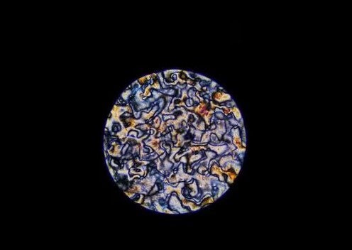 A look through a microscope at a liquid crystal used to make rubber-like materials stiffer and stronger for artificial muscles in soft robots. (University of Waterloo)