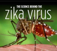 Zika Virus lecture image featuring a mosquito.