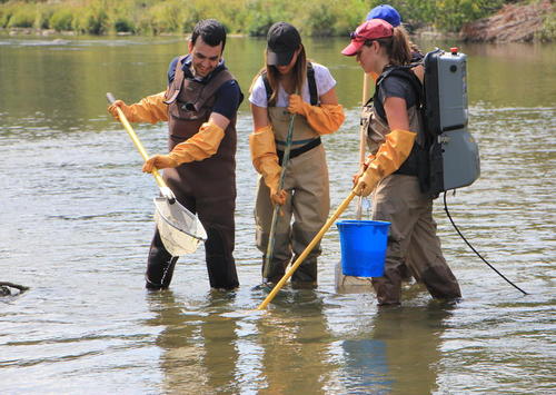 Students using a variety of scientific equipment perform tests in a river.