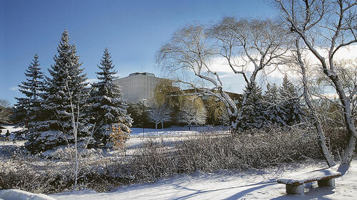 The Waterloo campus in winter.
