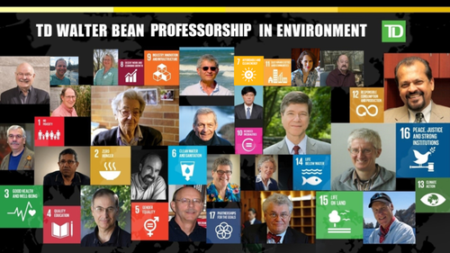 A collage of TD Walter Bean Professorship in Environment holders.