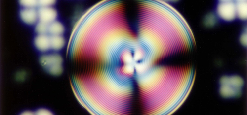 A spinning disc made of coloured concentric rings.