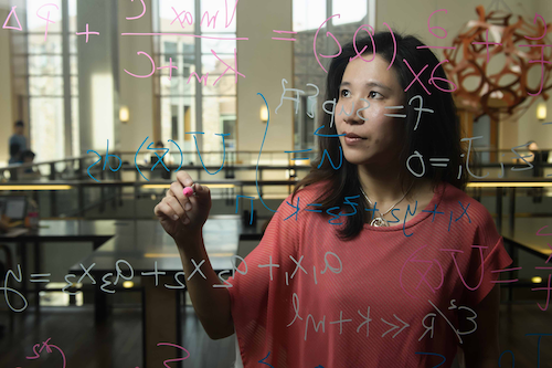 Anita Layton writes mathematical formulae on a pane of glass.