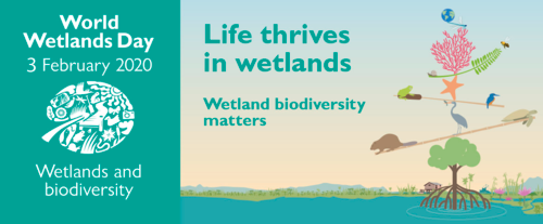 World Wetlands Day Research Symposium banner.