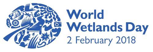 World Wetlands Day banner image.