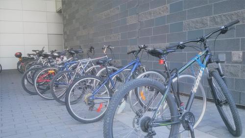 A lineup of free-range, uncaged bicycles ready to strike.