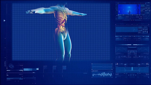 A high-tech body scan showing human organs