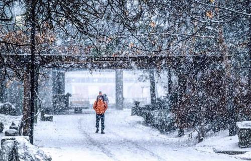 A person walks through the snow-covered Peter Russel Rock Garden.