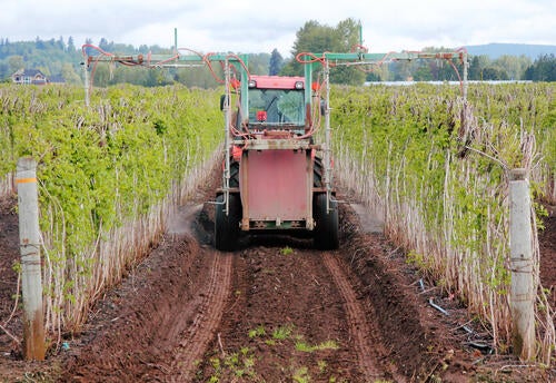 A tractor sprays fertilizer in a field.