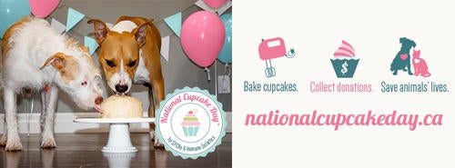 National Cupcake Day banner featuring two dogs eating a cake.