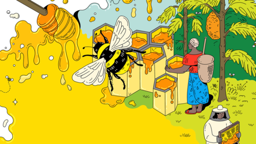 A colourful illustration of a bee, honey, and harvesters