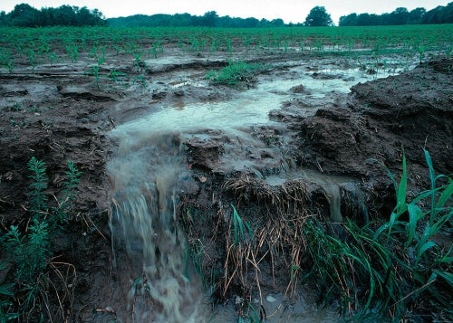 Runoff in an agricultural setting.