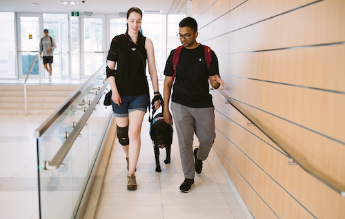 Two people, one with a service dog, walk down a ramp in a campus building.