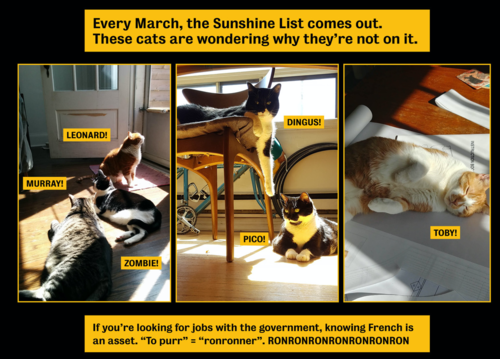 An excerpt from the Good Buddies of the Library calendar featuring cats wondering why they aren't on the Sunshine List.