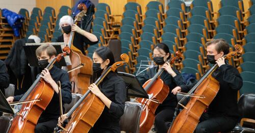 Cellists and other string instrument players performing together.