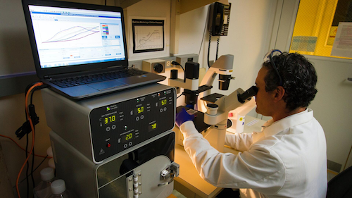 A research peers into a microscope hooked up to a computer bank.