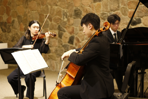 A trio consisting of violinist, cellist, and pianist perform.