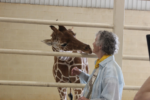 Anne Innis Dagg and a giraffe share a moment together in 2014.
