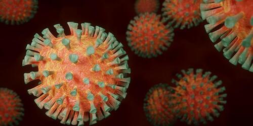 An illustration of a coronavirus.