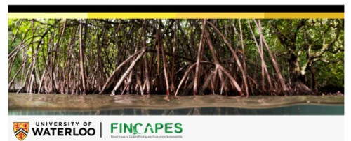 FINCAPES banner showing a jungle environment.