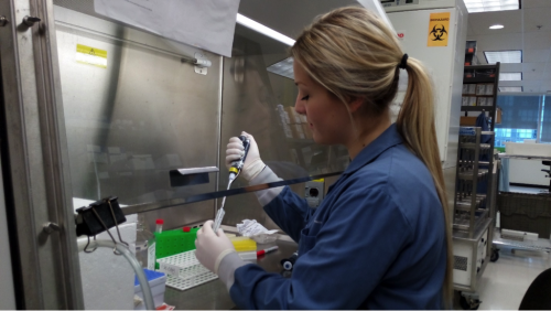 Co-op student Lauren Hummel working in a lab at Princess Margaret Hospital.