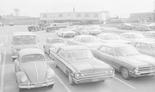 A University of Waterloo parking lot in the early 1960s.