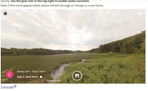 A screenshot of a virtual tour of a bog environment.