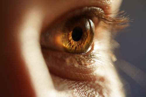 A focused image of a woman's eye.