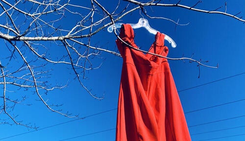 A red dress hangs from a clothes hanger on the branch of a tree.