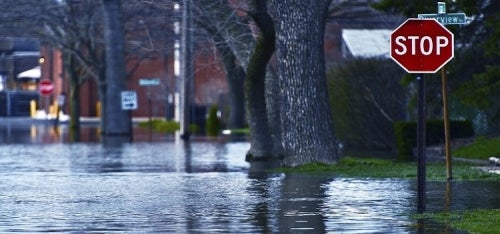 A flooded city street with a prominent STOP sign.