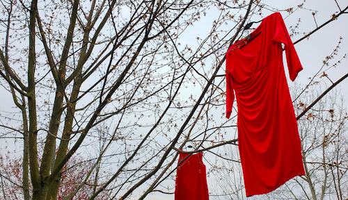 Red dresses on clothes hangars hanging from a tree.