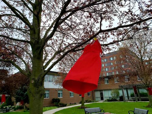 a red dress hangs on a tree outside St. Jerome's University.