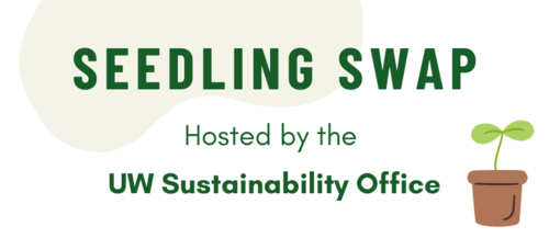 Seedling Swap banner featuring a small seedling in a flower pot.