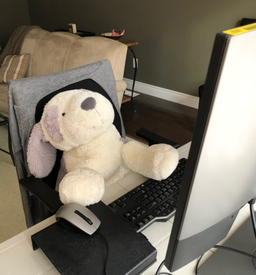 A stuffed animal posed in a chair in front of a computer.