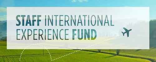 Staff International Experience Fund banner.
