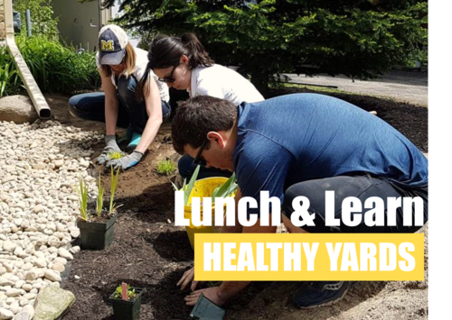 Healthy Yards Lunch and Learn banner showing people planting in a garden.